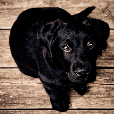 ddos压力测试网页端